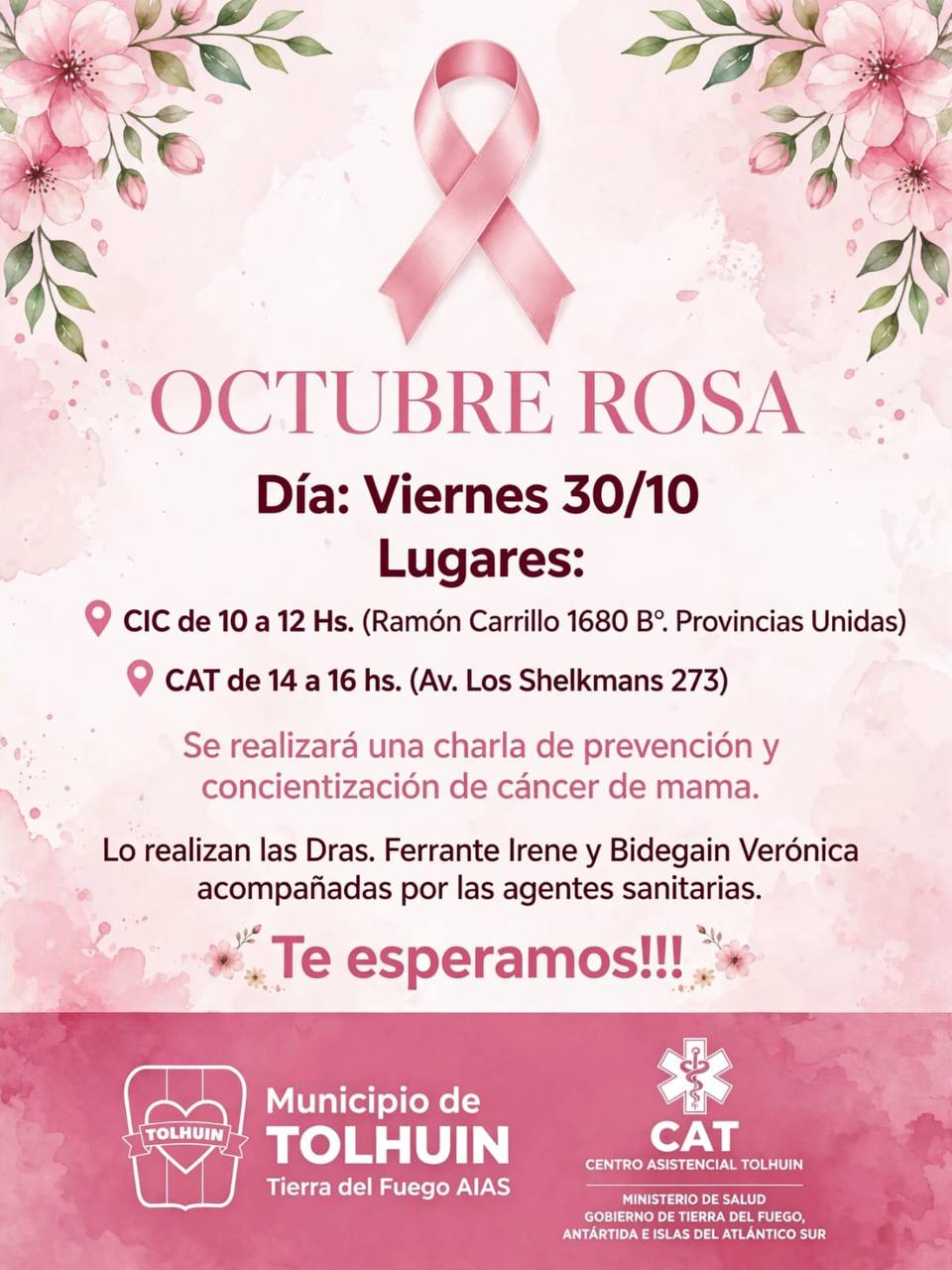 Octubre Rosa: el Municipio de Tolhuin y el Centro Asistencial realizarán dos charlas sobre prevención del cáncer de mama
